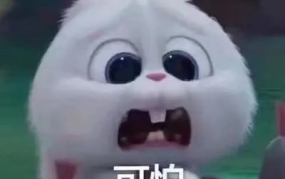 吃瓜外国网红事件真相,真相与误解的交织
