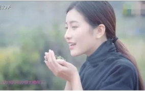 怎么撩微信上的小姐姐,轻松俘获小姐姐芳心